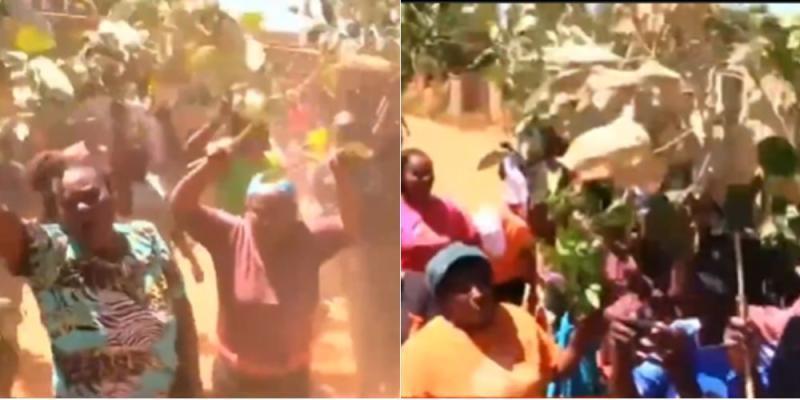 Collage of protests in Mwea.